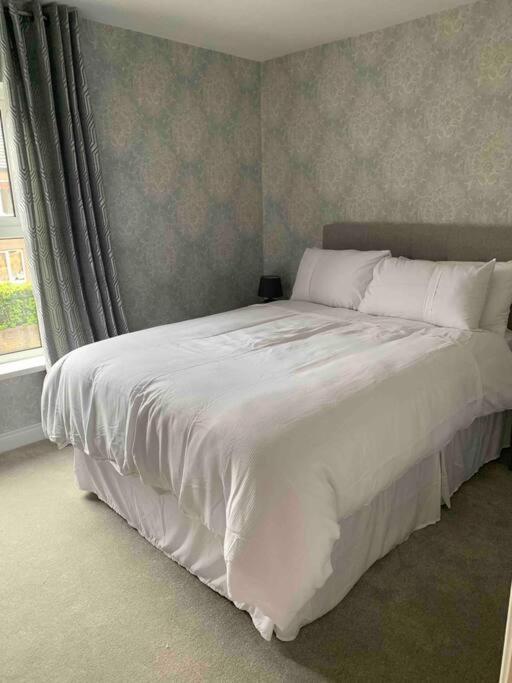 The Court Appartement Belfast Buitenkant foto